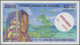 00578 Comoros / Komoren: Set Of 3 Specimen Notes Containing 2500, 5000 And 10.000 Francs ND(2005) P. 12s-14s, All With Z - Comores