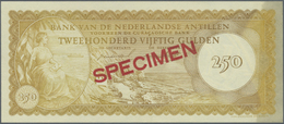 01782 Netherlands Antilles / Niederländische Antillen: 250 Gulden 1962 Specimen P. 6s With 012345 Serial Number And Spec - Netherlands Antilles (...-1986)