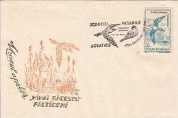 65221- POMARINE JAEGER, BIRDS, SPECIAL COVER, 1993, ROMANIA - Albatros