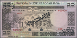 02934 Somalia: 20 Shillings 1981 Specimen P. 29s In Condition: UNC. - Somalia