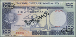 02936 Somalia: 100 Shillings 1981 Specimen P. 30s In Condition: UNC. - Somalie