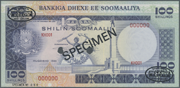 02936 Somalia: 100 Shillings 1981 Specimen P. 30s In Condition: UNC. - Somalia