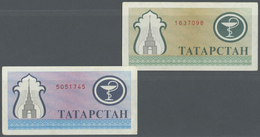 03083 Tatarstan: Pair With 200 Rubles In Blue And Another One In Olive-green Color, P.7a,b. Both Notes With Slightly Sta - Tatarstan