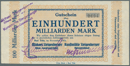 04116 Deutschland - Notgeld - Bayern: Bad Tölz, Michael Steigenberger OHG, 100 Mrd., 500 Mrd. Mark, November 1923, Erh. - [11] Emissions Locales