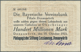 04119 Deutschland - Notgeld - Bayern: Donauwörth, Pädagogische Stiftung Cassianeum, 100 Mio. Mark, 10.10.1923, Erh. IV; - [11] Local Banknote Issues