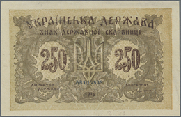 03165 Ukraina / Ukraine: 250 Karbovantsiv 1918 With Small Letters, P.39b In Excellent Condition With A Very Soft Vertica - Ucraina