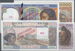 03502 West African States / West-Afrikanische Staaten: Large Set Of 14 Specimen Notes From West African States & Central - États D'Afrique De L'Ouest