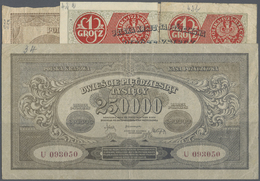 03712 Poland / Polen: Huge Set With 33 Banknotes 1919-23 Containing For Example 100.000 And 250.000 Marek Polskich 1923, - Poland