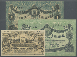 03752 Ukraina / Ukraine: Zhytomir Municipal Receipts Huge Set With 32 Banknotes Containing 8 X 1, 6 X 3 And 18 X 5 Karbo - Ukraine