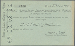04388 Deutschland - Notgeld - Württemberg: Wangen, Hoyer & Lavo KG, 50 Mio. Mark, O. D. Und Unterschrift, Mit Perforatio - [11] Emissions Locales