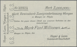 04399 Deutschland - Notgeld - Württemberg: Wangen, Hoyer & Lavo KG, 5 Mio. Mark, O. D. Und Unterschrift, Mit Firmen-Wass - [11] Emissions Locales