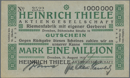 04556 Deutschland - Notgeld - Sachsen: Spitzenlot Von 324 Scheinen überwiegend Der Hochinflation, Fast Ohne Standardausg - [11] Emissions Locales