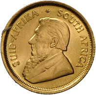 05059 Südafrika: 1/10 Unze "Krügerrand" 1982, Gold 916er; 3,39 G, Stempelglanz. - Sud Africa