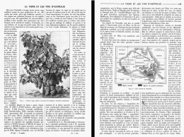 LES VIGNES Et Les VINS D'AUSTRALIE    1908 - Wein