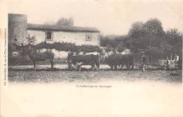 Thème: Agriculture. Battage. Moisson. Labourage En Auvergne     (voir Scan) - Attelages