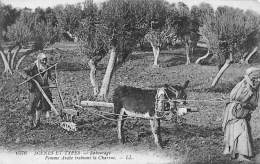 Thème: Agriculture. Battage. Moisson. Anne Au Labour Et Couple Arabe   Non Localisée     (voir Scan) - Equipos