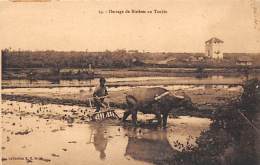 Thème: Agriculture. Battage. Moisson. Tonkin . Hersage De Rizières.  Non Localisé    (voir Scan) - Sonstige & Ohne Zuordnung