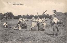 Thème: Agriculture. Battage. Moisson.  Vie Aux Champs  Une Bande Joyeuse       (voir Scan) - Autres & Non Classés