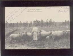 78 Haras Du Perray Les Béliers Oxford Dorons édit. Pelletier Mouton Brebis , Le Perray - Le Perray En Yvelines