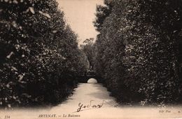 ARTENAY -45- LE RUISSEAU - Artenay