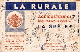 LA RURALE AGRICULTEURS ASSUREZ VOUS CONTRE LA GRELE - Agricultura