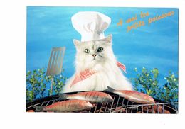 Cpm - A Moi Les Petits Poissons - Chat Habillé En Cuisinier Toque - Grill Barbecue - Animales Vestidos