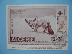 Carte Maximum (2)   Algérie  1957   Au Profit De La Croix Rouge  Fennec  &  Cigogne Sur Sétif - Cartoline Maximum