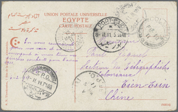 Br China - Incoming Mail: EGYPT, 1911. Picture Post Card Addressed To The '16th Colonial Regiment, TienTsin, China' Bear - Other & Unclassified