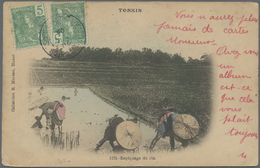 Br Französisch-Indochina: 1905. Picture Post Card Of 'Planting Rice' Addressed To France Bearing Indo-China SG 33. 5c Gr - Covers & Documents