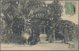Br Französisch-Indochina: 1907. Picture Post Card Of 'Betel Plantation, Saigon' Addressed To France Bearing French Indo- - Covers & Documents