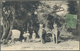 Br Französisch-Indochina: 1908. Picture Post Card Of 'Elephants In Forest' Addressed To France Bearing Indo-China SG 33, - Lettres & Documents