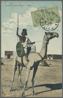Br Indien - Used Abroad: ADEN, 1916. Picture Post Card (faults) Of 'Somali Camel Rider, Aden' Addressed To France Bearin - Autres & Non Classés