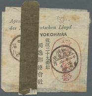Br Japan: 1889, Weather Report Wrapper Canc. "Zeizumi/Musashi Tokyo 22.2.9" (Feb. 9, 1889) Addressed To 'Agentur Des.Nor - Other & Unclassified