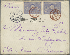 Br Japan: 1894. Envelope Addressed To France Bearing ‘Silver Wedding' SG 127, 5s Blue (pair) Tied By Oita-Bungo Ve - Other & Unclassified