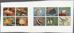 ** Schardscha / Sharjah: 1972, Fishes, Both Issues, Imperforate Combined Proof Sheet On Gummed Paper, Vertical Fold In G - Sharjah