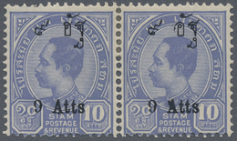 */ Thailand: 1908, 9 Atts./10 A., A Horizontal Pair, With Variety "Hatts" For "Att" On The Left Stamp, Unused Mounted Mi - Thailand