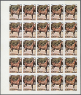 ** Schardscha / Sharjah: 1972. Progressive Proof (6 Phases) In Complete Sheets Of 25 For The 25dh Value Of The Set HORSE - Sharjah