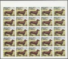 ** Schardscha / Sharjah: 1972. Progressive Proof (6 Phases) In Complete Sheets Of 25 For The 75dh Value Of The DOGS Seri - Sharjah