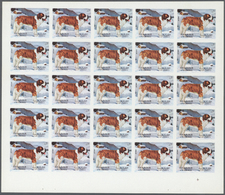 ** Schardscha / Sharjah: 1972. Progressive Proof (5 Phases) In Complete Sheets Of 25 For The 1r Value Of The DOGS Series - Sharjah