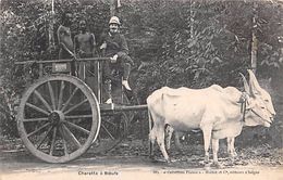 Thème Loisirs  Agriculture. Battage. Moisson .Tonkin . Charette A Boeufs    (voir Scan) - Attelages