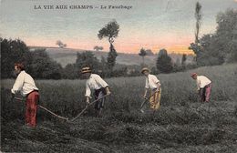 Thème Loisirs  Agriculture. Battage. Moisson .  Vie Aux Champs: Le Fauchage     (voir Scan) - Altri & Non Classificati