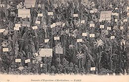 Thème Loisirs  Agriculture. Battage. Moisson .  Horticulture  Exposition Paris     (voir Scan) - Attelages