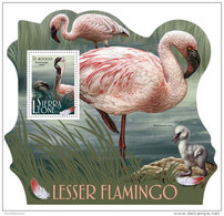 SIERRA LEONE 2017 ** Lesser Flamingo Kleiner Flamingo Moins Flamant S/S - OFFICIAL ISSUE - DH1729 - Flamingo