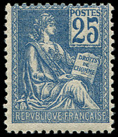 ** 118b  Mouchon, 25c. Bleu, T II, Impression RECTO-VERSO, TB. C - Neufs