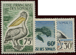 * COTE DES SOMALIS 292/303 : Poissons Et Oiseaux, TB - Autres & Non Classés