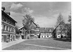 Delcampe - Gottlieben - Gottlieben