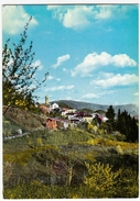 PANORAMA DI BOSCO VALTRAVAGLIA - LUINO - VARESE - 1966 - Luino