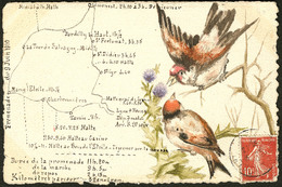 LETTRE Illustration à La Main. "Promenade Du 9 Juin 1910, Le Trajet", CP Illustrées Oiseaux, Aquarelle Et Plume, Voyagé. - Unclassified