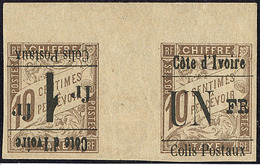 * Colis Postaux. Surcharge Renversée. Nos 8d (type I) + 8b (type VIII), En Paire Interpanneaux, Bdf, Superbe. - RR (3 Pi - Other & Unclassified