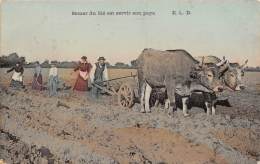 Thème: Agriculture. Battage. Moisson:  Semer Du Blé Est Servir Son Pays  Attelage De Boeufs  (voir Scan) - Cultures